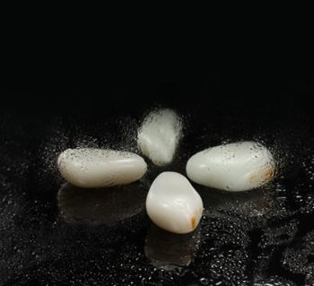 瞿利軍玉雕藝術精品 瞿利軍玉雕藝術精品