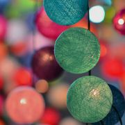 貓兒de似水流年